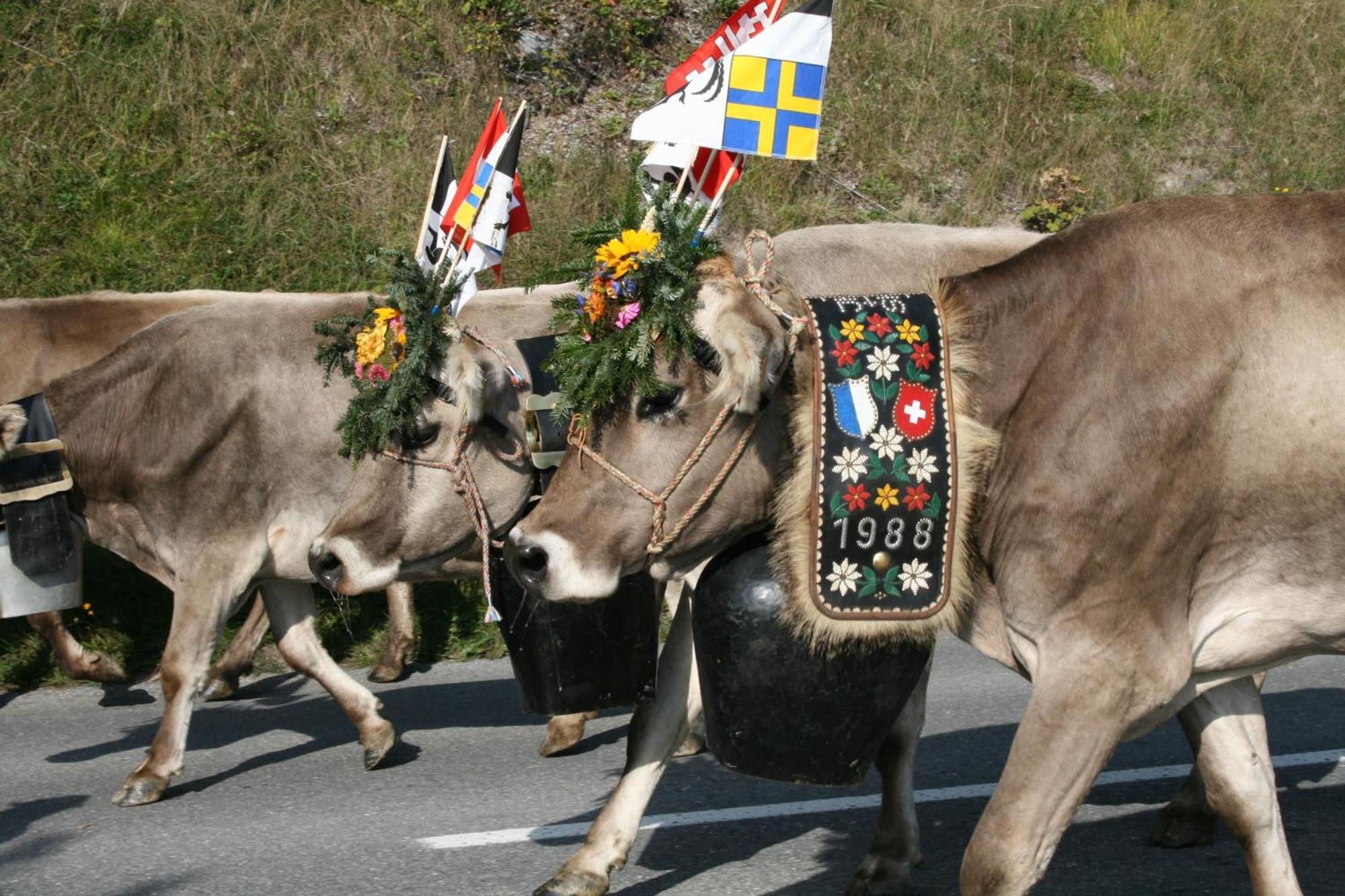 T3 Hotel Mira Val Flims Eksteriør bilde
